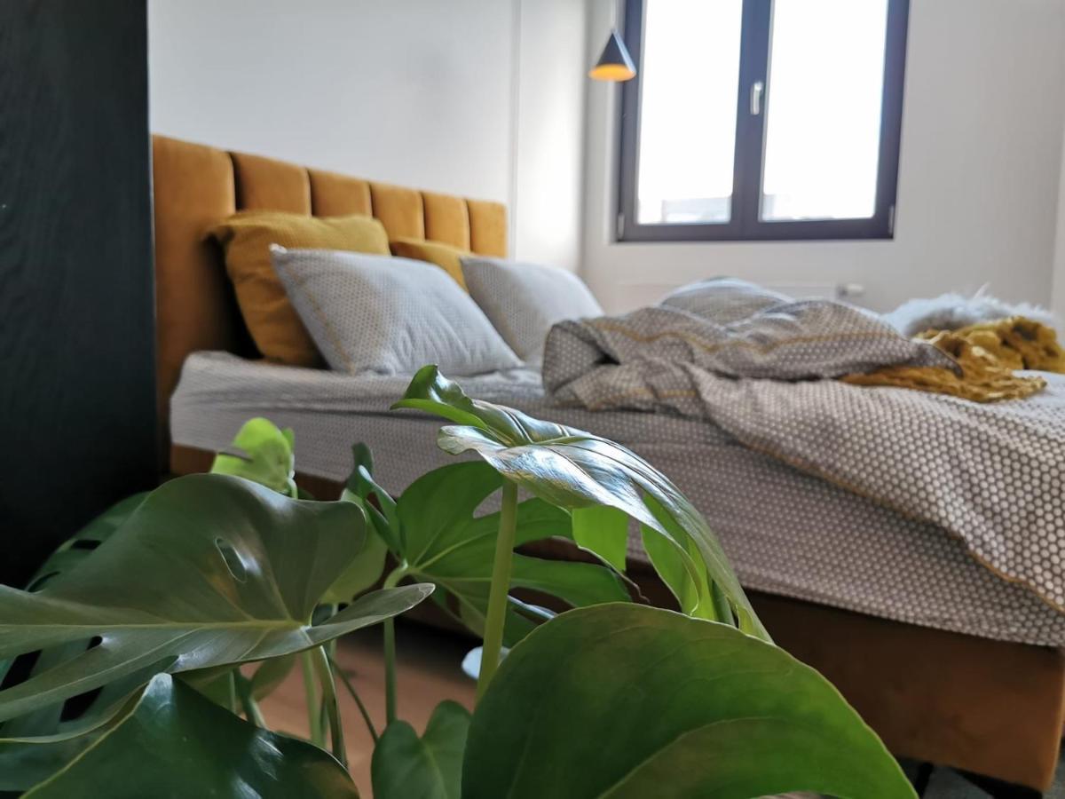 The Penthouse, Oasis Of Light And Inspiration Apartment Antwerp Exterior photo